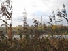 jezioro_jasien31