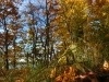 kolo_foto_10d