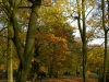 kolo_foto_5d