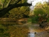 kolo_foto_8d