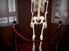 muzeum_archeologii_2010_26d
