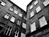 bg_dm_5