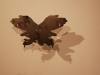 profil_hum_laznia_13